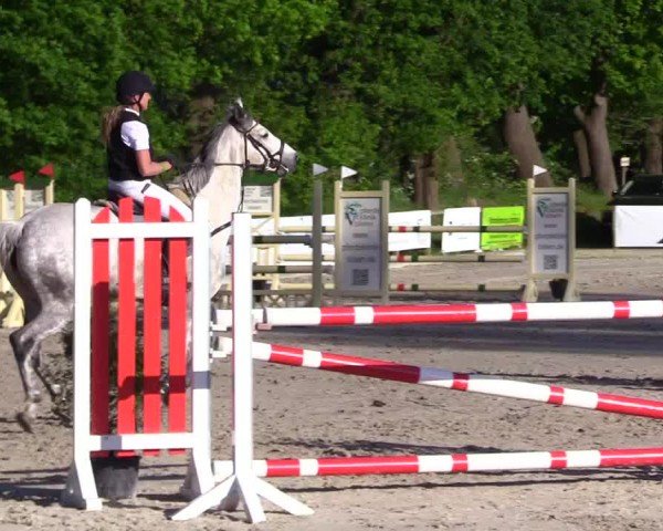 Reitturnier Kropp 2024