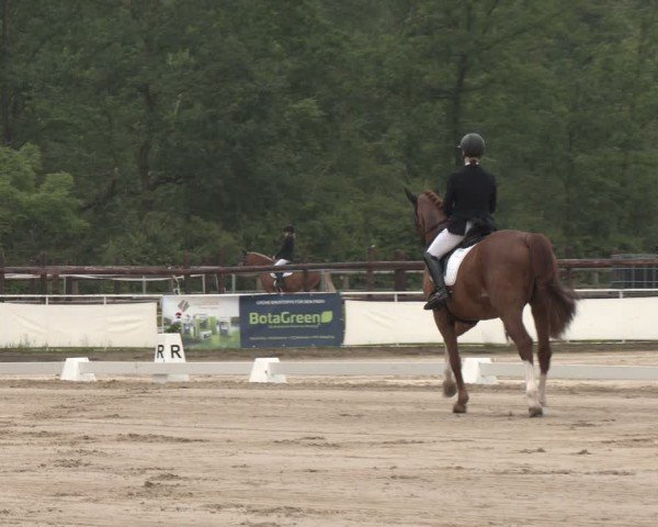 Reitturnier Frechen-Grefrath - Sonnenhof 2024