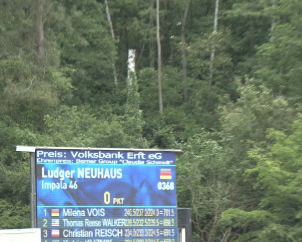 Reitturnier Frechen-Grefrath - Sonnenhof 2024