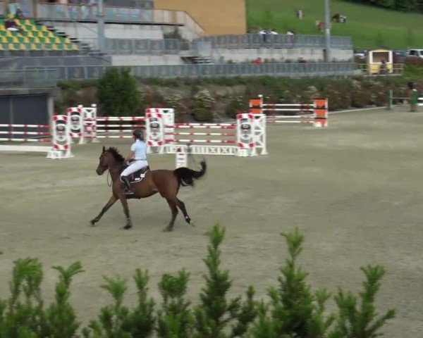 Reitturnier St. Margarethen 2024