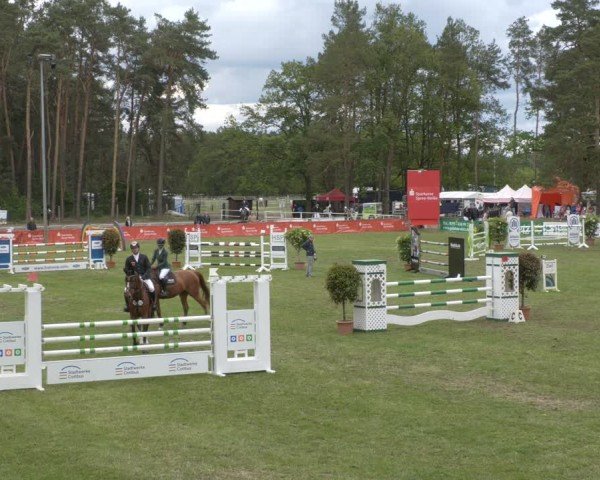 Reitturnier Cottbus-Sielow 2024