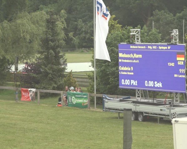 Reitturnier Pennigbüttel 2024