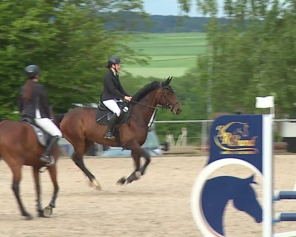 Reitturnier Landenhausen 2024