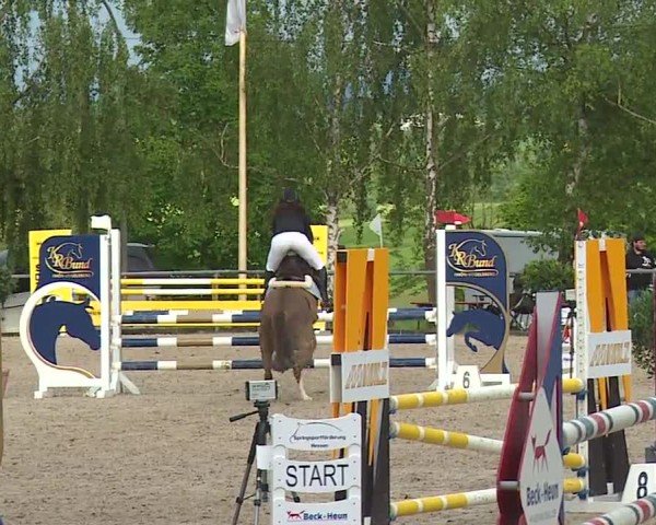 Reitturnier Landenhausen 2024