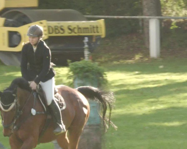 Reitturnier Forst 2024