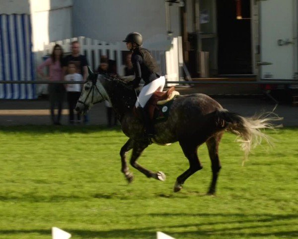 Reitturnier Forst 2024