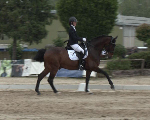 Reitturnier Frechen-Grefrath - Sonnenhof 2024