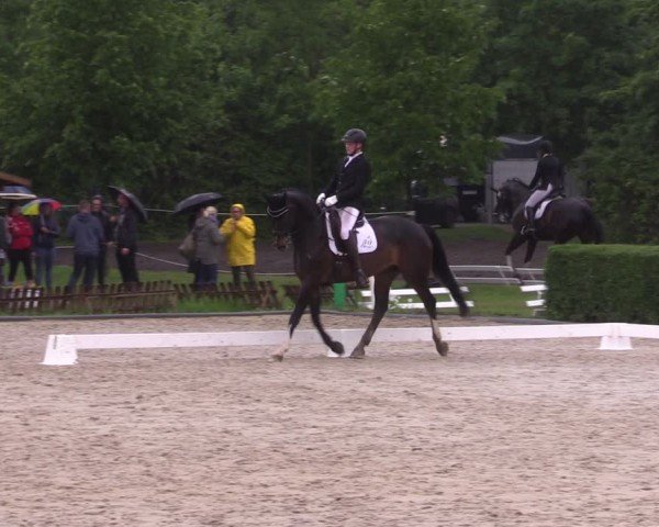 Reitturnier Westeregeln 2024