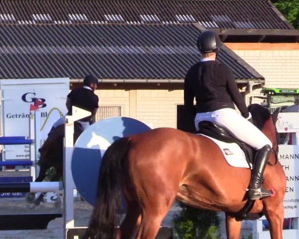 Reitturnier Kropp 2024