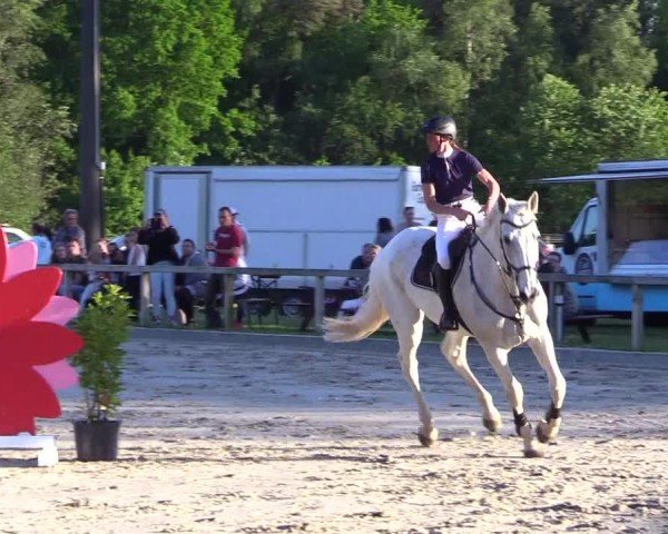 Reitturnier Kropp 2024