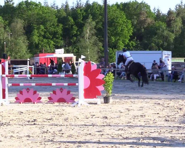 Reitturnier Kropp 2024