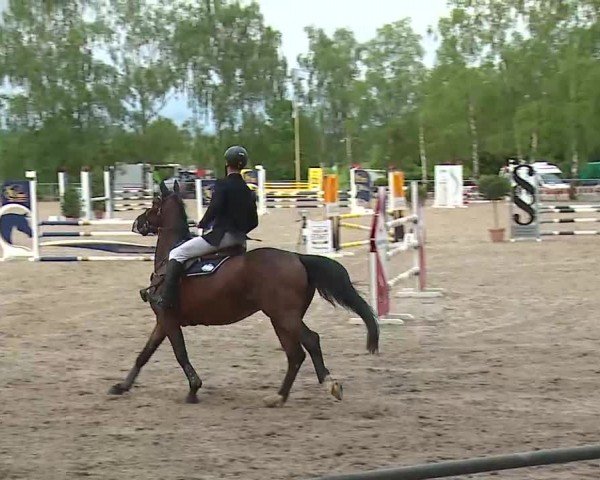 Reitturnier Landenhausen 2024