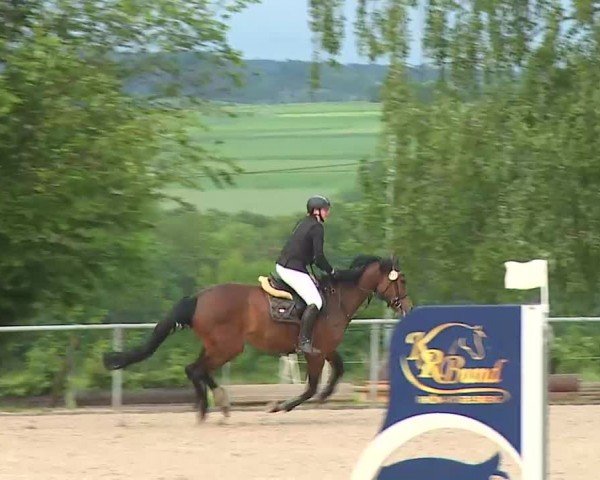 Reitturnier Landenhausen 2024