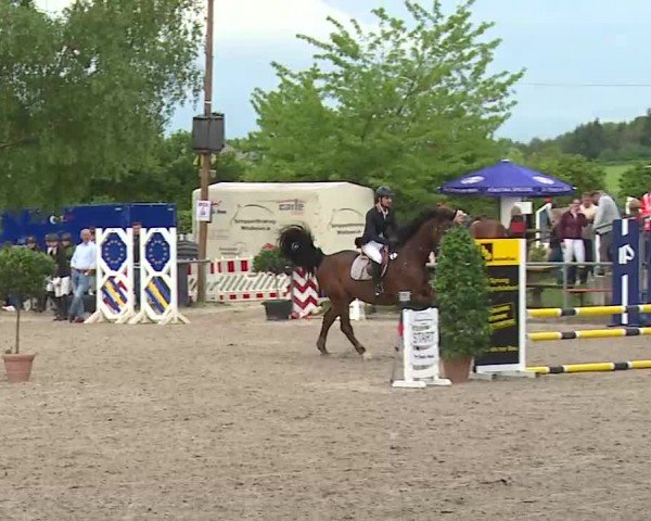 Reitturnier Landenhausen 2024