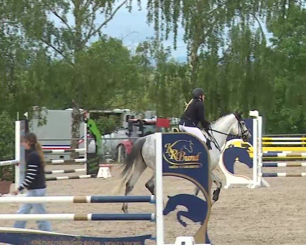 Reitturnier Landenhausen 2024