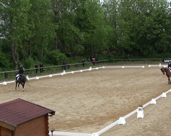 Reitturnier Königsbrunn-Ulrichshof/Schw. 2024