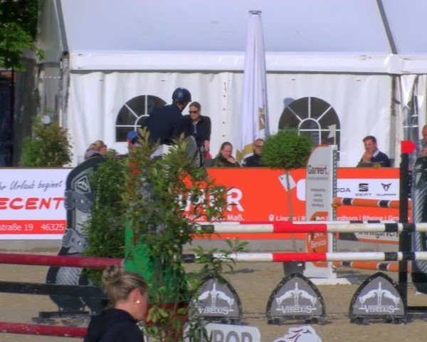 Reitturnier Borken 2024