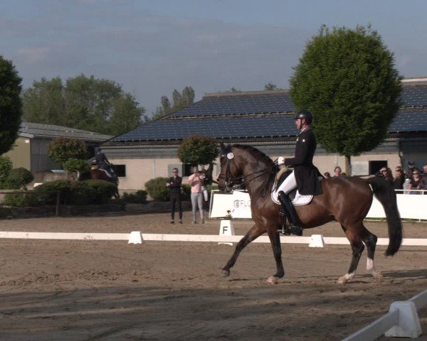 Reitturnier Frechen-Grefrath - Sonnenhof 2024