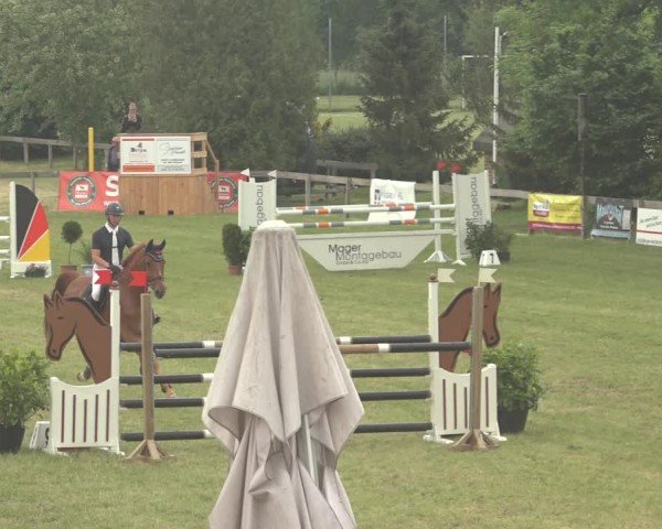 Reitturnier Pennigbüttel 2024
