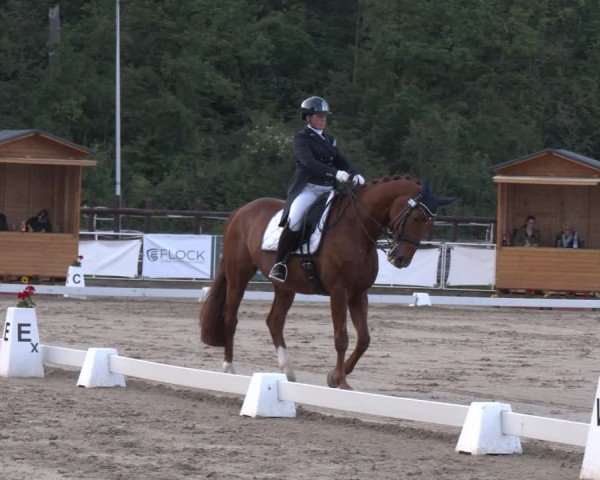 Reitturnier Frechen-Grefrath - Sonnenhof 2024