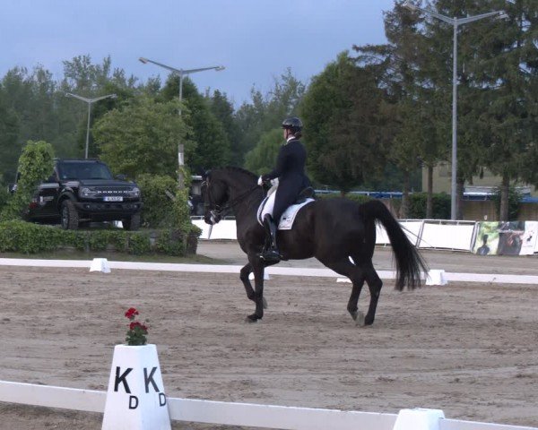 Reitturnier Frechen-Grefrath - Sonnenhof 2024