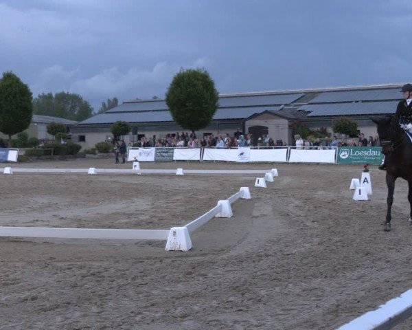 Reitturnier Frechen-Grefrath - Sonnenhof 2024
