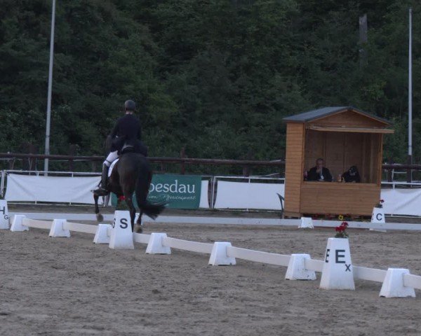 Reitturnier Frechen-Grefrath - Sonnenhof 2024