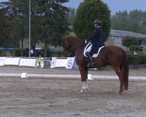 Reitturnier Frechen-Grefrath - Sonnenhof 2024