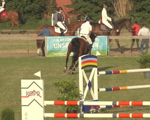 Reitturnier Pennigbüttel 2024