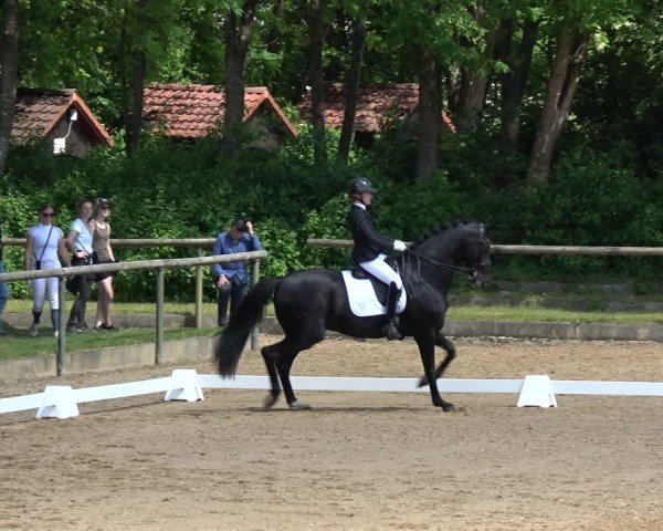 Reitturnier Königsbrunn-Ulrichshof/Schw. 2024