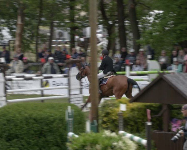 Reitturnier Cottbus-Sielow 2024