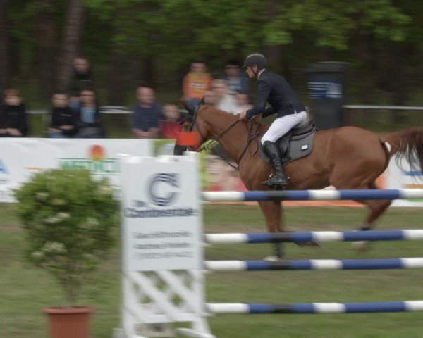 Reitturnier Cottbus-Sielow 2024