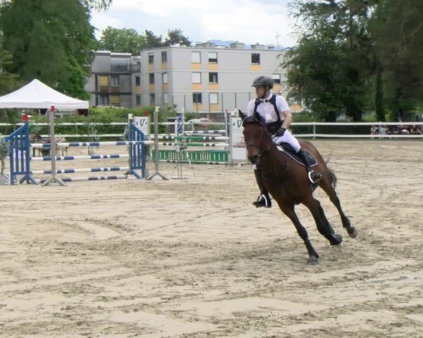 Reitturnier Stadt Bregenz 2024