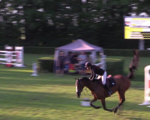 Reitturnier Westeregeln 2024