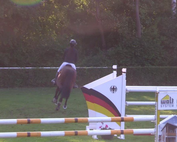 Reitturnier Westeregeln 2024