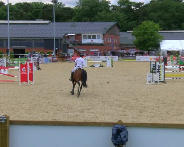 Reitturnier Borken 2024