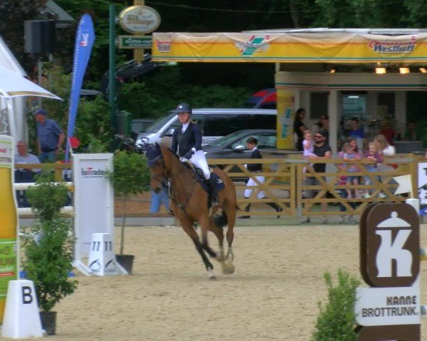Reitturnier Borken 2024
