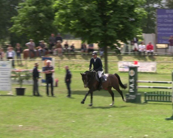 Reitturnier Blüthen 2024