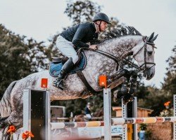 jumper Cornetano 4 (Zangersheide riding horse, 2017, from Cornet Obolensky)