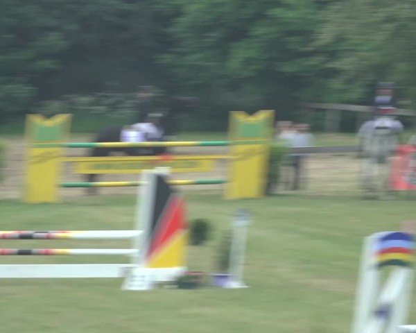 Reitturnier Pennigbüttel 2024