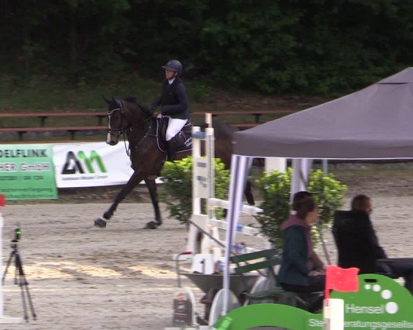 Reitturnier Lgl.-Oberhain, B95 2024