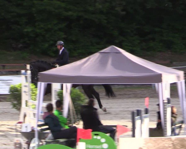Reitturnier Lgl.-Oberhain, B95 2024