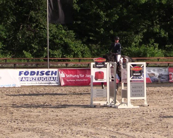 Reitturnier Lgl.-Oberhain, B95 2024