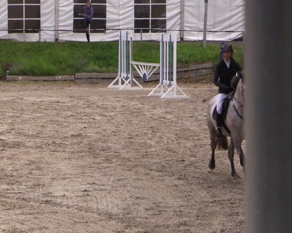 Reitturnier Lgl.-Oberhain, B95 2024