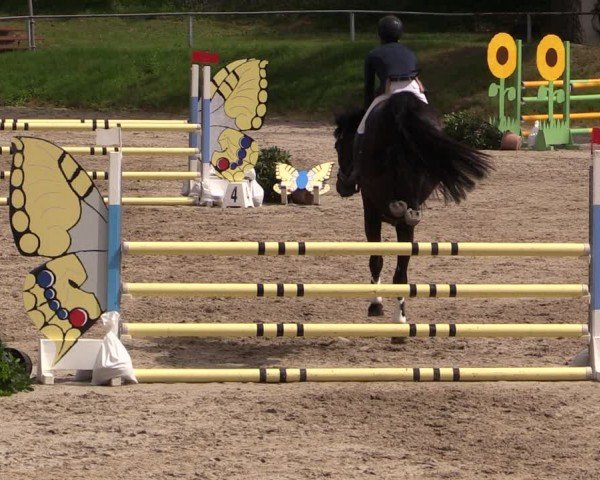 Reitturnier Lgl.-Oberhain, B95 2024