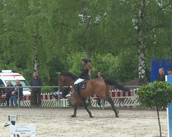 Reitturnier Landenhausen 2024