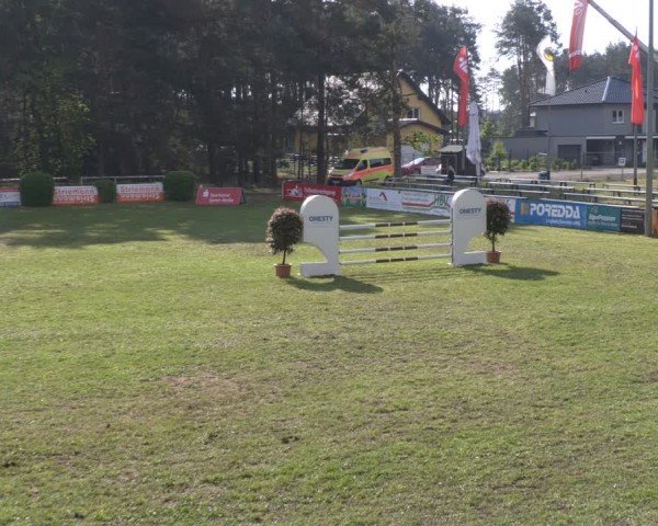 Reitturnier Cottbus-Sielow 2024