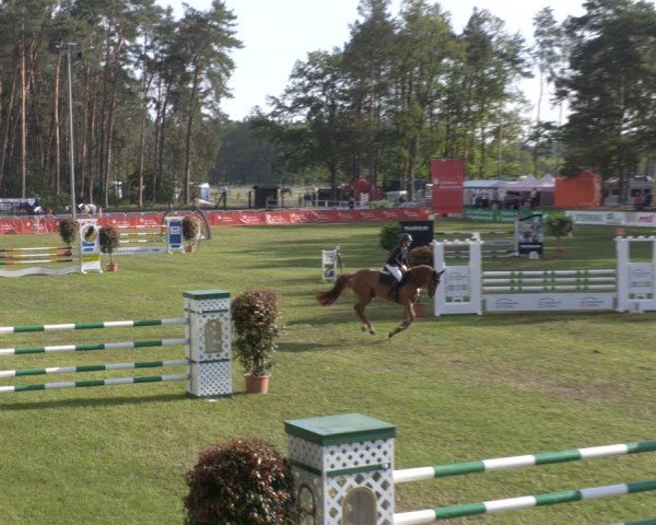 Reitturnier Cottbus-Sielow 2024