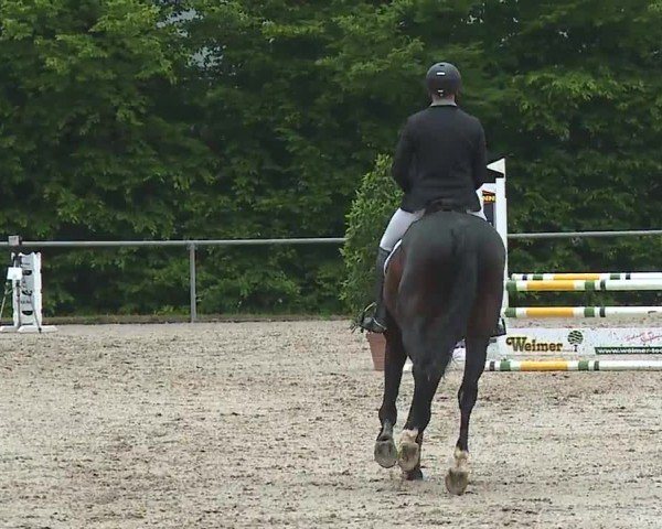 Reitturnier Landenhausen 2024