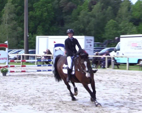 Reitturnier Kropp 2024